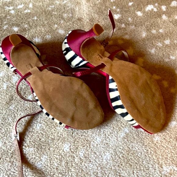 DanceGalaxy RedZebra Tango Salsa Jazzy Spotlight Grabbers - Picture 3 of 5